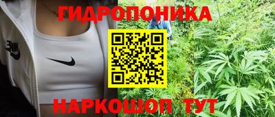 jwh Краснознаменск