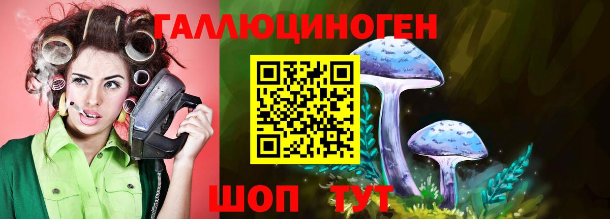 Галлюциногенные грибы мицелий  Галлюциногенные грибы прущие грибы  Кирово-Чепецк  Вход с VPN 